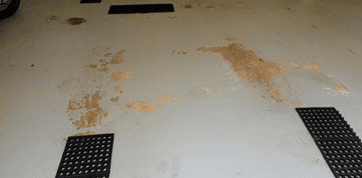 DIY Epoxy Kits and Floor Paint