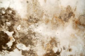 Why Epoxy Flooring Is Growing In Popularity and Why You Should Be Cautious Why Epoxy Flooring Is Growing In Popularity and Why You Should Be Cautious