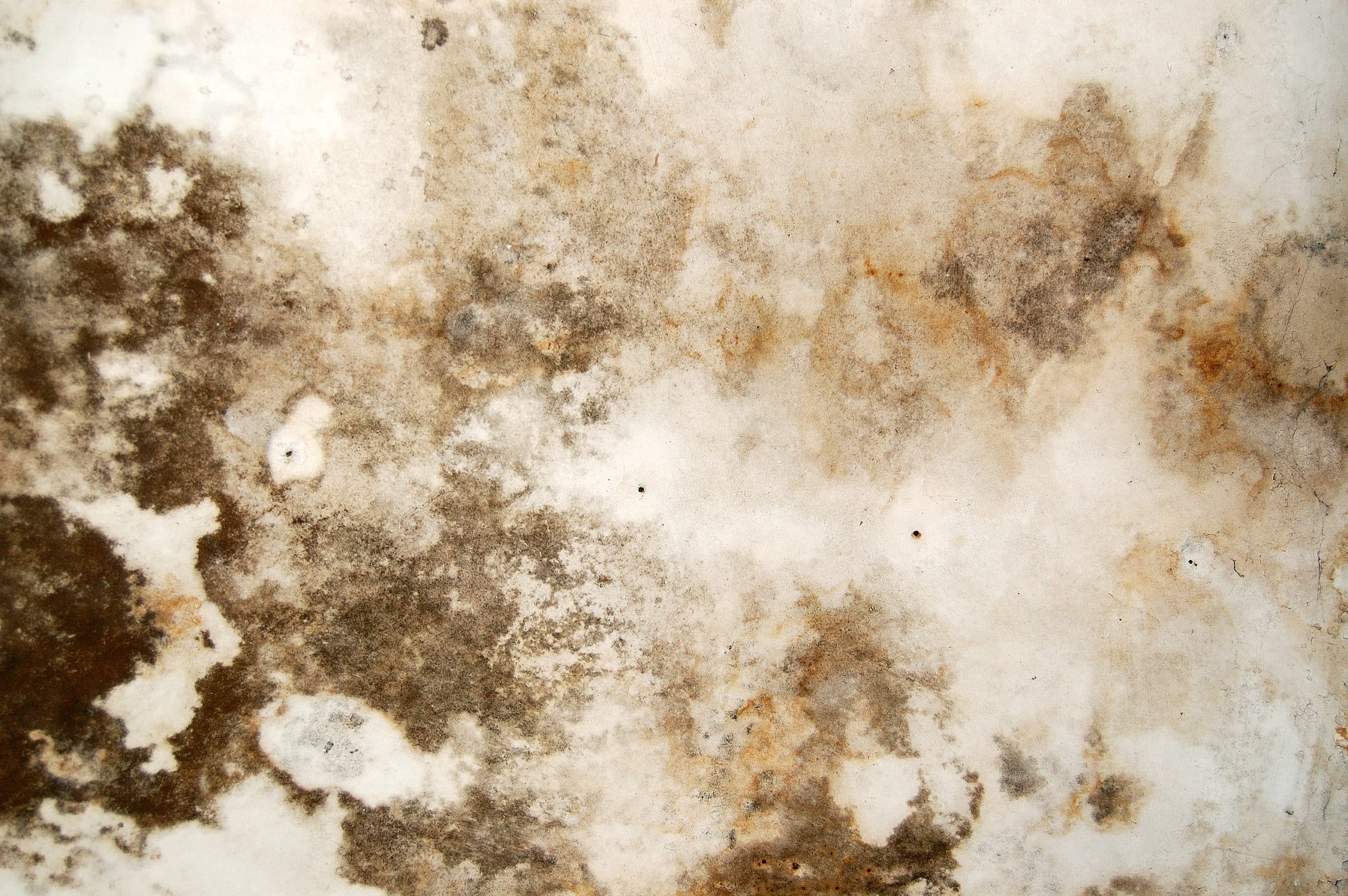 Why Epoxy Flooring Is Growing In Popularity and Why You Should Be Cautious Colorado Garage Floor Coating