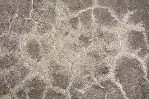 Do Floor Coatings Help With Efflorescence?
