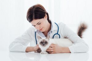 Floor coating in your veterinary office in Denver, Colorado
