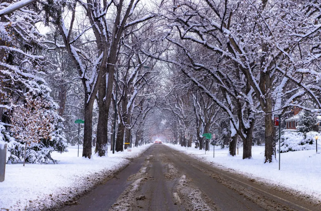Road Slime - Denver, CO