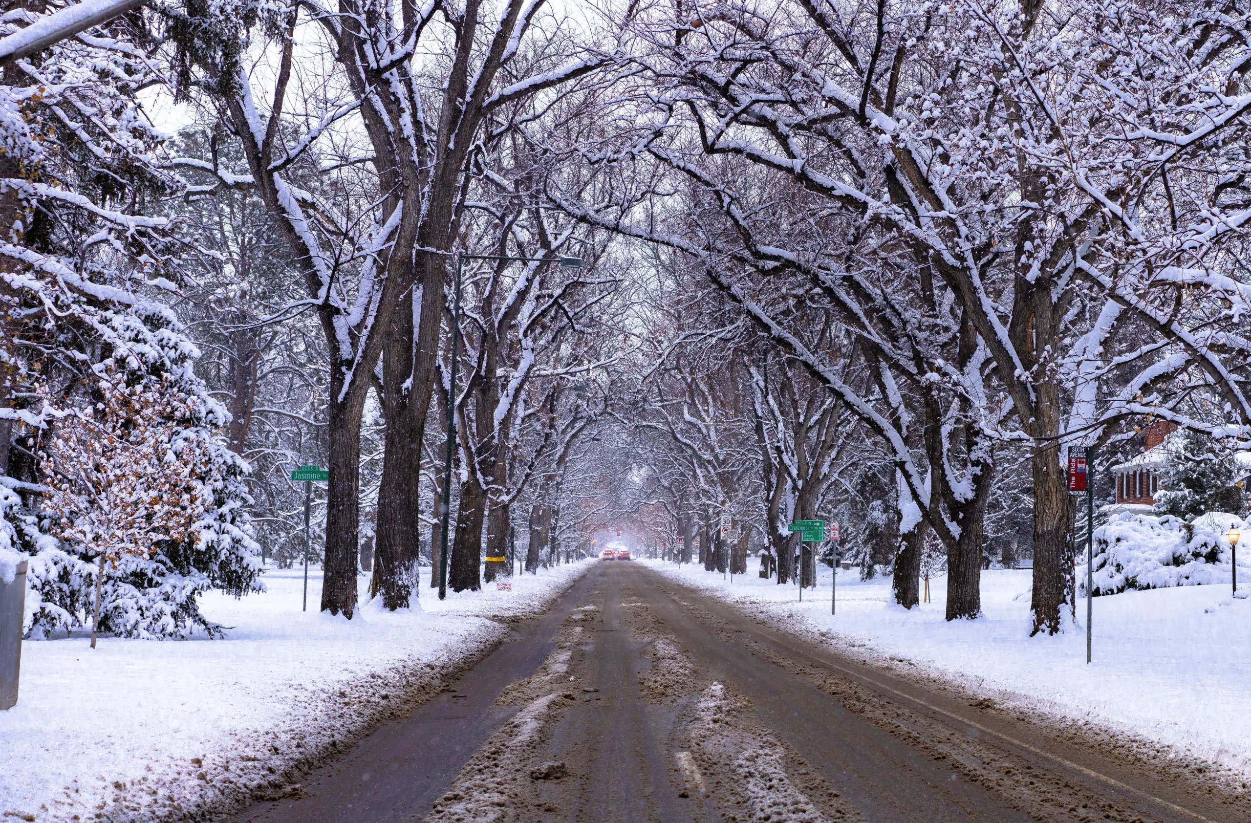 Road Slime - Denver, CO